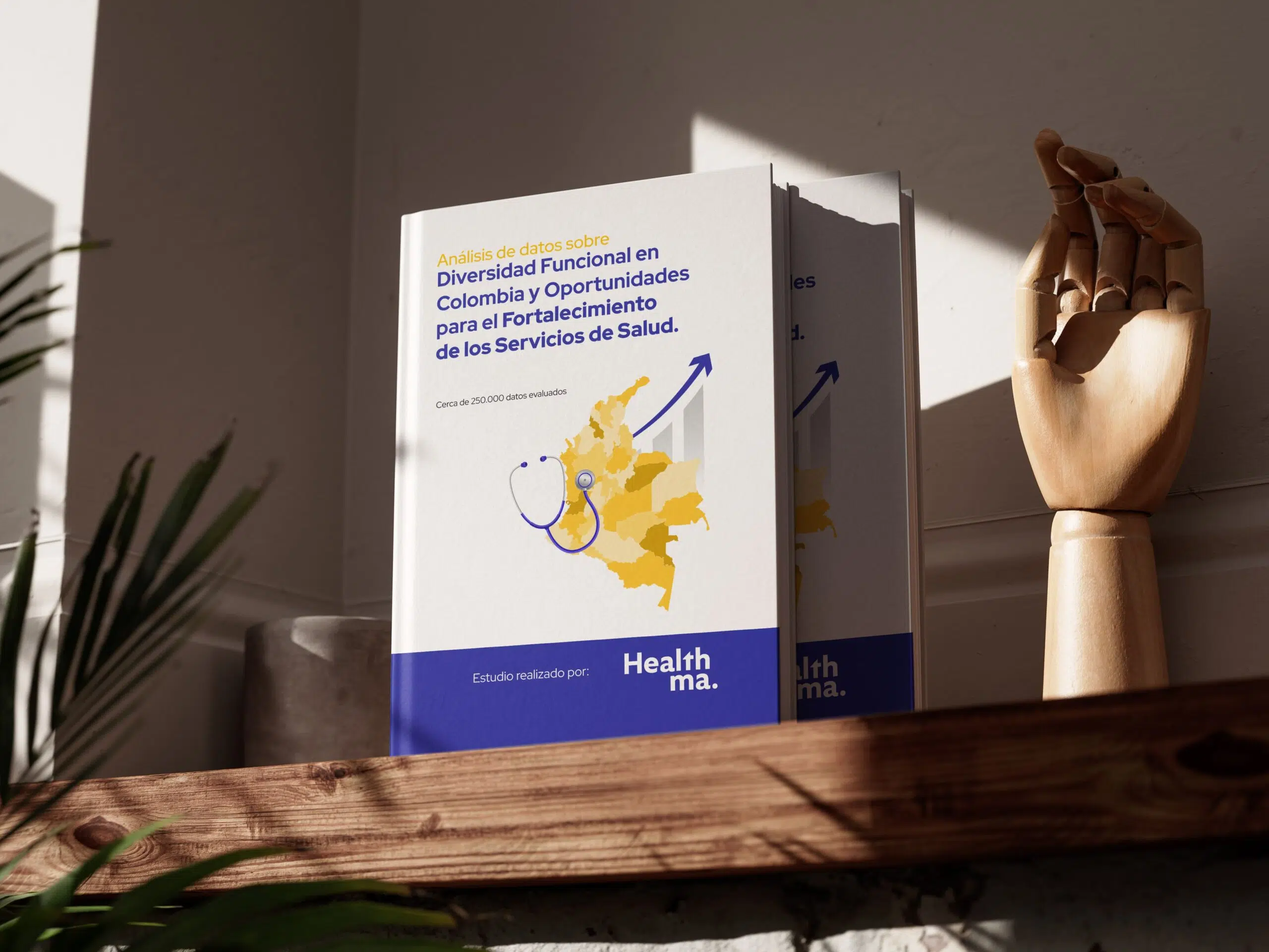 Informe Diversidad Funcional Colombia